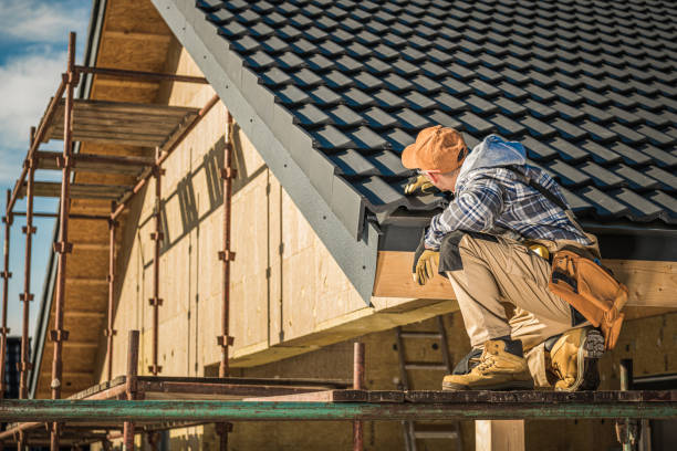 Best Skylight Installation and Repair  in Hinckley, IL