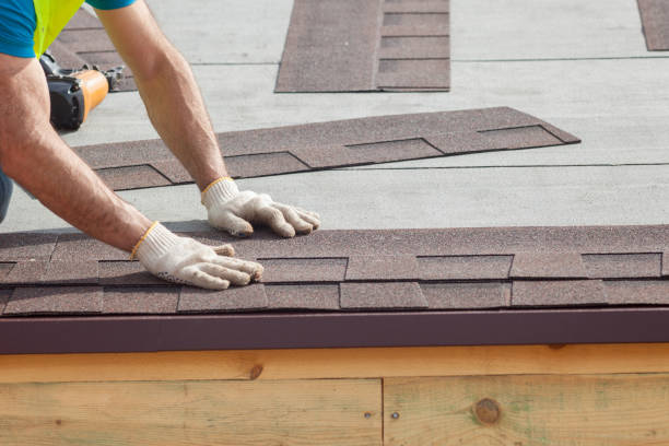 Best Solar Panel Roofing Installation  in Hinckley, IL