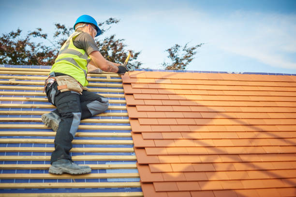 Best Roof Coating and Sealing  in Hinckley, IL